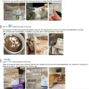 chanbuni Baking Cat Food Fresh Chicken Rabbit Meat Low Temp Baked Kitten Food Adult Cat Feed 50g Free Shipping Trial Pack