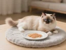 Cat snacks cat strips piece fresh tender chicken tuna cod wet food nutrition replenishment fattening cat snacks
