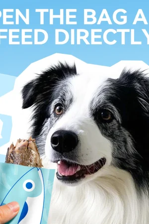 chanbuni Cat Cat Food Cats Cat Snack Food Cats Food for Cats Dog and Cat Treats Whole Mackerel Contains Omega 3 Sea Fish Snacks