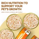 chanbuni Cat Snack Cats Cat Food Food Cats Canned Snacks Wet Food Hydrates Nourishes Companion Soup Packets Chicken Salmon Snack