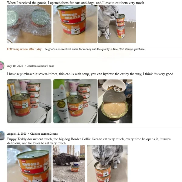 chanbuni Cat Snack Cats Cat Food Food Cats Canned Snacks Wet Food Hydrates Nourishes Companion Soup Packets Chicken Salmon Snack - Image 6
