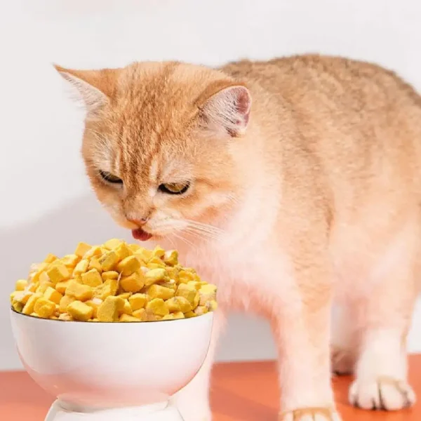 New 40g Freeze Dried Egg Yolk Granules Beautify Smoothing Freeze-dried Hair Cat To Pet Pets Healthy Food Snacks Cat Safe - Image 3
